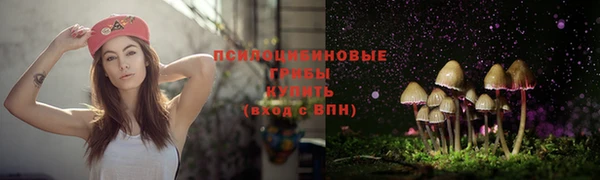 МДПВ Алексеевка