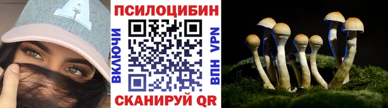 Псилоцибиновые грибы Psilocybine cubensis  продажа наркотиков  Жиздра 