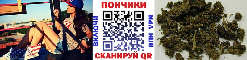 дарк нет клад  наркотики  Жиздра  Бошки марихуана THC 21%  блэк спрут зеркало 
